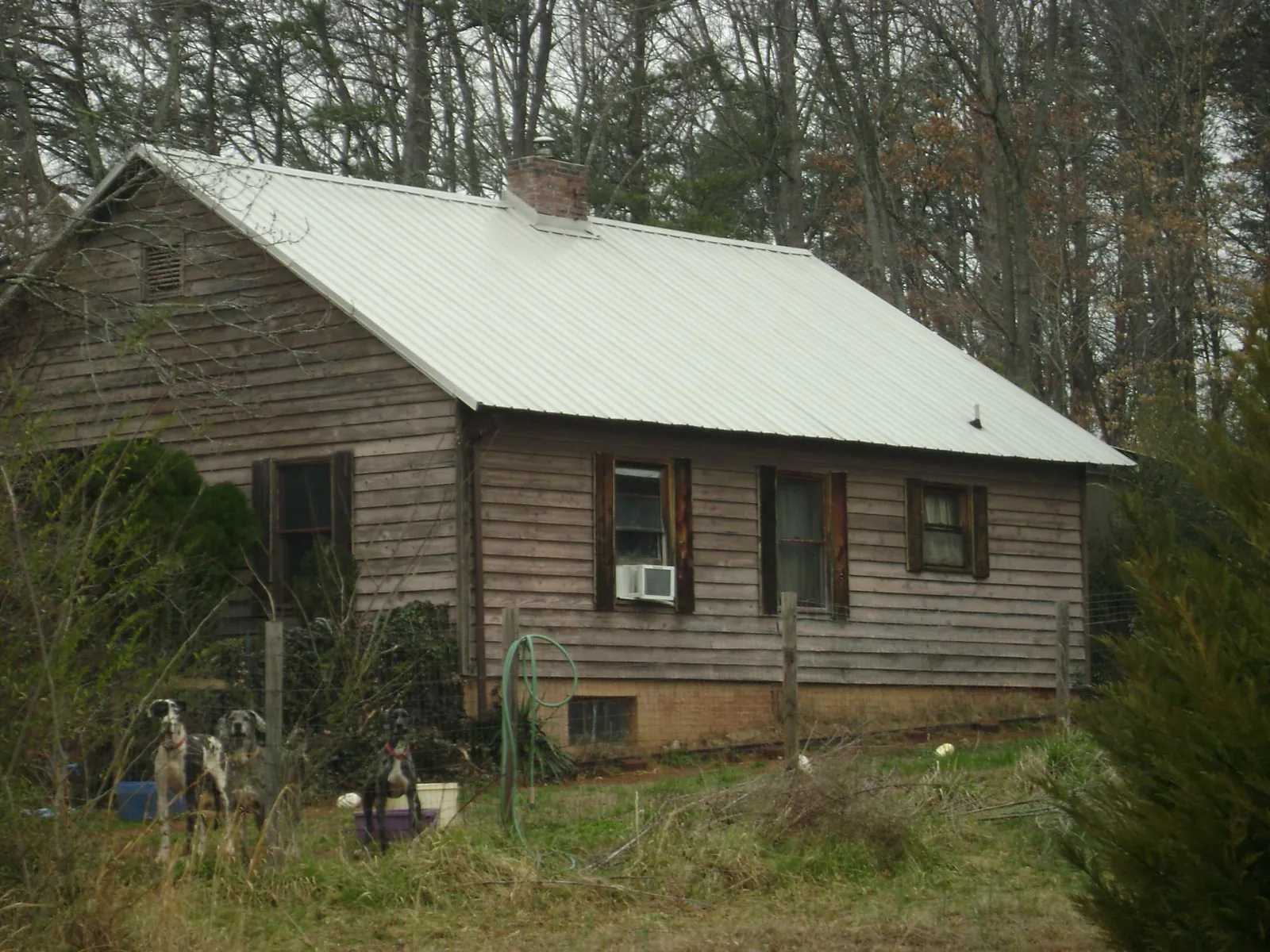 White metal roof on an old wood sided farmhouse, from a Asphalt Shingle Roof Repair job in Waretown
